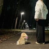 Telegram profile photo for Зона бежевой👣🐾