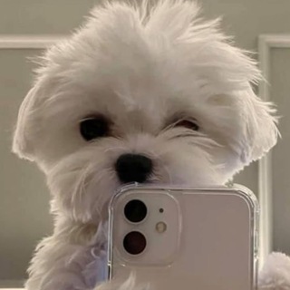 Telegram profile photo for обожаю