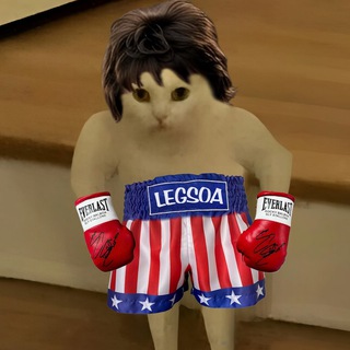 Telegram profile photo for LEGS Meme Channel