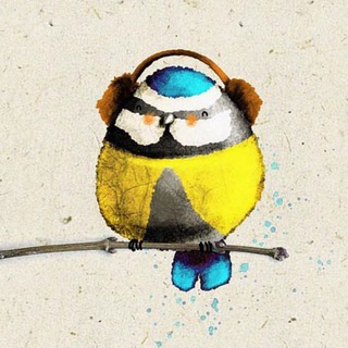 Telegram profile photo for Funcup