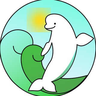 Telegram profile photo for БЕЛЫЙ КИТ🐋|СОЛОВЕЦКИЕ ОСТРОВА