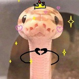 Telegram profile photo for .𝔐𝔢𝔩𝔱𝔦. \\ заказы и отзывы \\