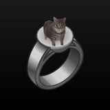 Telegram profile photo for forumware