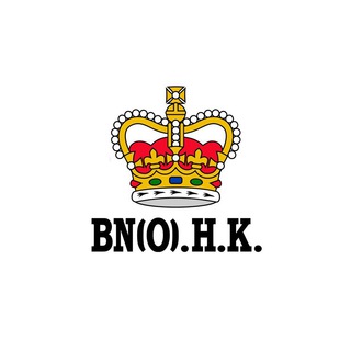 Telegram profile photo for BN(O) HK Channel