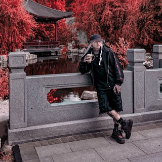 Telegram profile photo for Mistoner life