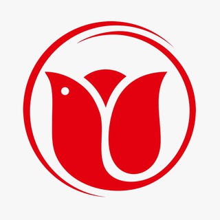 Telegram profile photo for بصیر