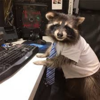 Telegram profile photo for Гребани скальпинк