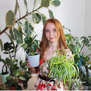 Telegram profile photo for Маша kasviplants