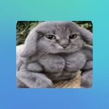 Telegram profile photo for Бог этого блядского мира