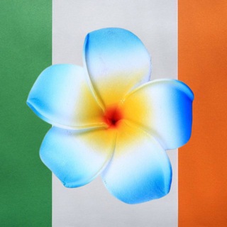 Telegram profile photo for 🇨🇮🇺🇦Украинцы в Ирландии Дублине Корк Бандоране