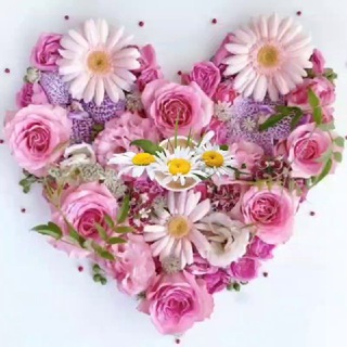 Telegram profile photo for کانال کلبه آرامش 💕 🤍🕊