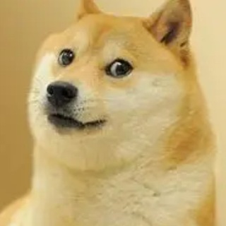Telegram profile photo for 薅羊毛吧——Telegram频道