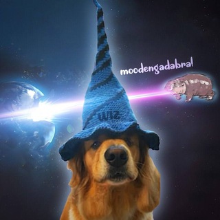 Telegram profile photo for WIZ | CTO | PORTAL