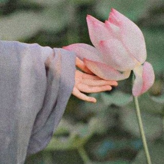 Telegram profile photo for بارون درخت نشین