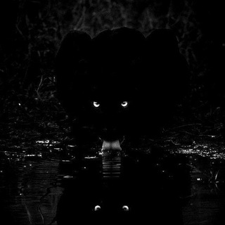 Telegram profile photo for 𝐓̷𝐄𝐌𝐈̷𝐑͢𝐊𝐇̶𝐀̷𝐍𝐎̸͢𝐕𝐒̷̸𝐊𝐈̷𝐄²