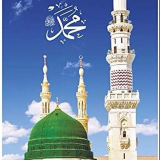 Telegram profile photo for RISOLAT