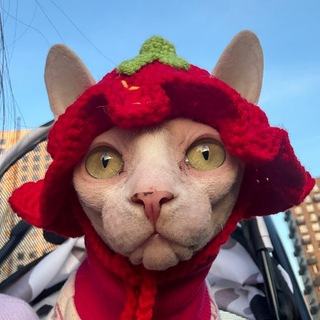 Telegram profile photo for Варя это я