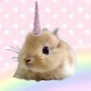 Telegram profile photo for хелирал воняит