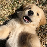 Telegram profile photo for зайди и посмотри