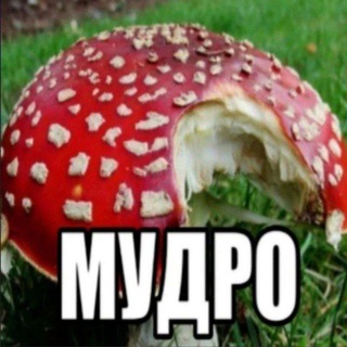 Telegram profile photo for Мудро