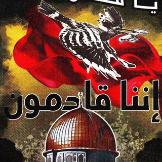 Telegram profile photo for TMaA🔻🧨💥GAZA, LIBANO, e Asse della RESISTENZA 🔻💣🇵🇸