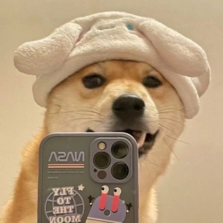 Telegram profile photo for 太子朋友圈