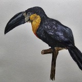 Telegram profile photo for rissara