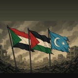 Telegram profile photo for -˼لــ ڪٱرݪين🇵🇸.¹5.