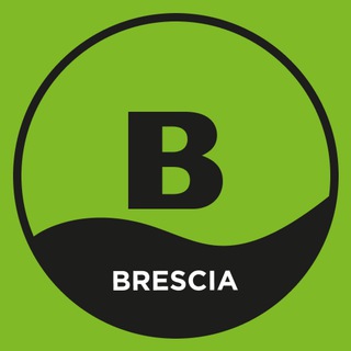 Telegram profile photo for Brescia // Bakeca Camere in Affitto