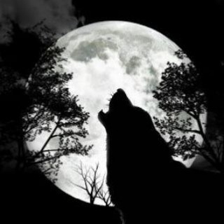 Telegram profile photo for Инфо канал LW