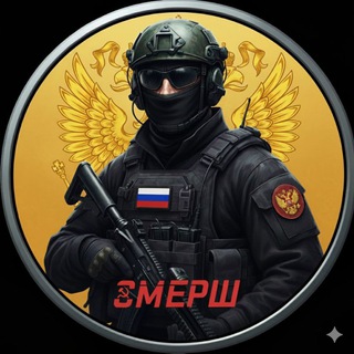 Telegram group profile photo for чат СМЕРШ БЕРДЯНСК