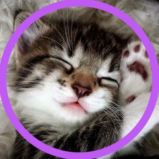 Telegram profile photo for ✨ Доброе утро