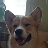 Telegram profile photo for Хантер🫳