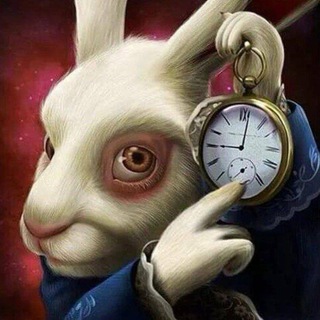 Telegram profile photo for Объявления М+ 2025