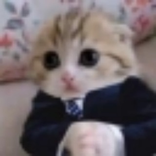 Telegram profile photo for $CEO|CTO
