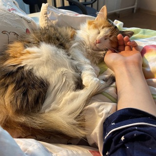 Telegram profile photo for БЛИиИН