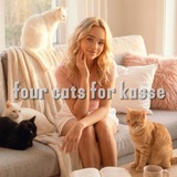 Telegram profile photo for four cats for kasse