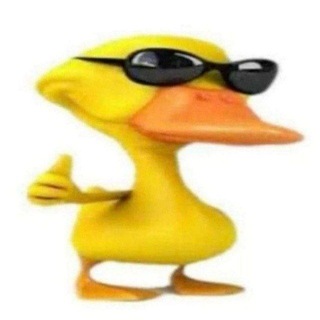 Telegram profile photo for Duck 42+