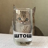 Telegram profile photo for Моменты Лео | попутного пламени