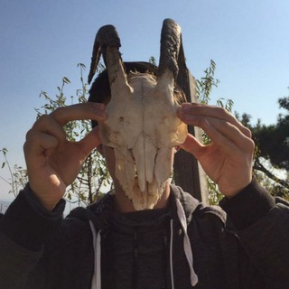 Telegram profile photo for Nejat’s (NOT) Financial Advice (NFA)