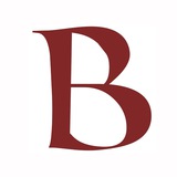 Telegram profile photo for Brocardica | Брокардики