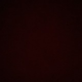 Telegram profile photo for …