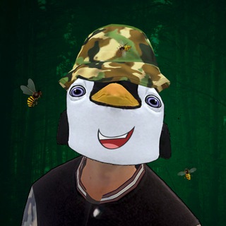 Telegram profile photo for Skipper