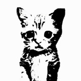Telegram profile photo for двадцатьвторой