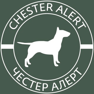 Telegram profile photo for Chester Alert