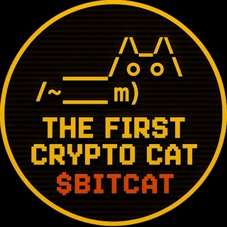 Telegram profile photo for BitCat