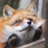 Telegram profile photo for ﹫takitama's data