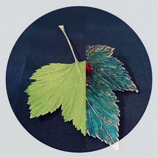 Telegram profile photo for Гальваника - мастерская Елены Мухиной