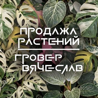 Telegram profile photo for Точка сбыта | Гровер Вячеслав