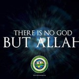 Telegram profile photo for Refuting Atheism